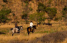 Horseback game viewing safari