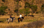 Horseback game viewing safari.