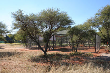 Aviary facility