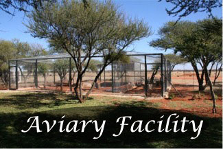Link to Cruiser Safaris Aviary facility