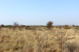 Hunting area example photo