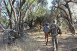 Limpopo hunting area