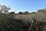 Limpopo hunting area