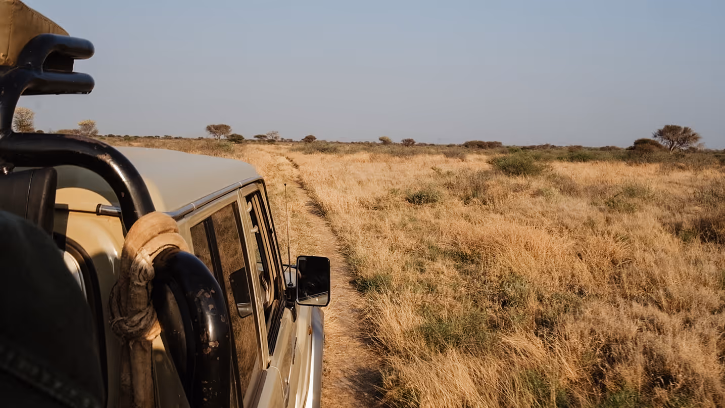 A Cruiser Safaris hunting vehicle on a track through open grassland