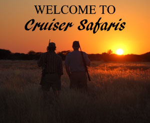 Welcome to Cruiser Safaris