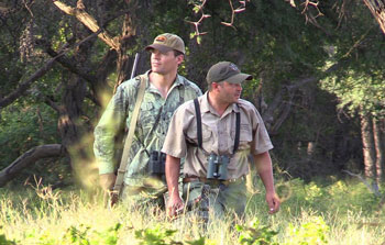 Stalking through the bushveld.