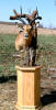Impala Sneak Pedestal Mount