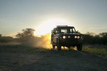 Cruiser Safaris hunting vehicle.