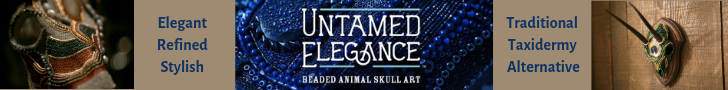 Untamed Elegance Beaded Animal Skull Taxidermy Alternative