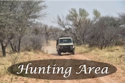 Link to hunting area photos