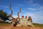 59 inch Kudu