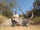 Carlton's Kudu