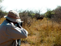 Picture yourself hunting in South Africa.